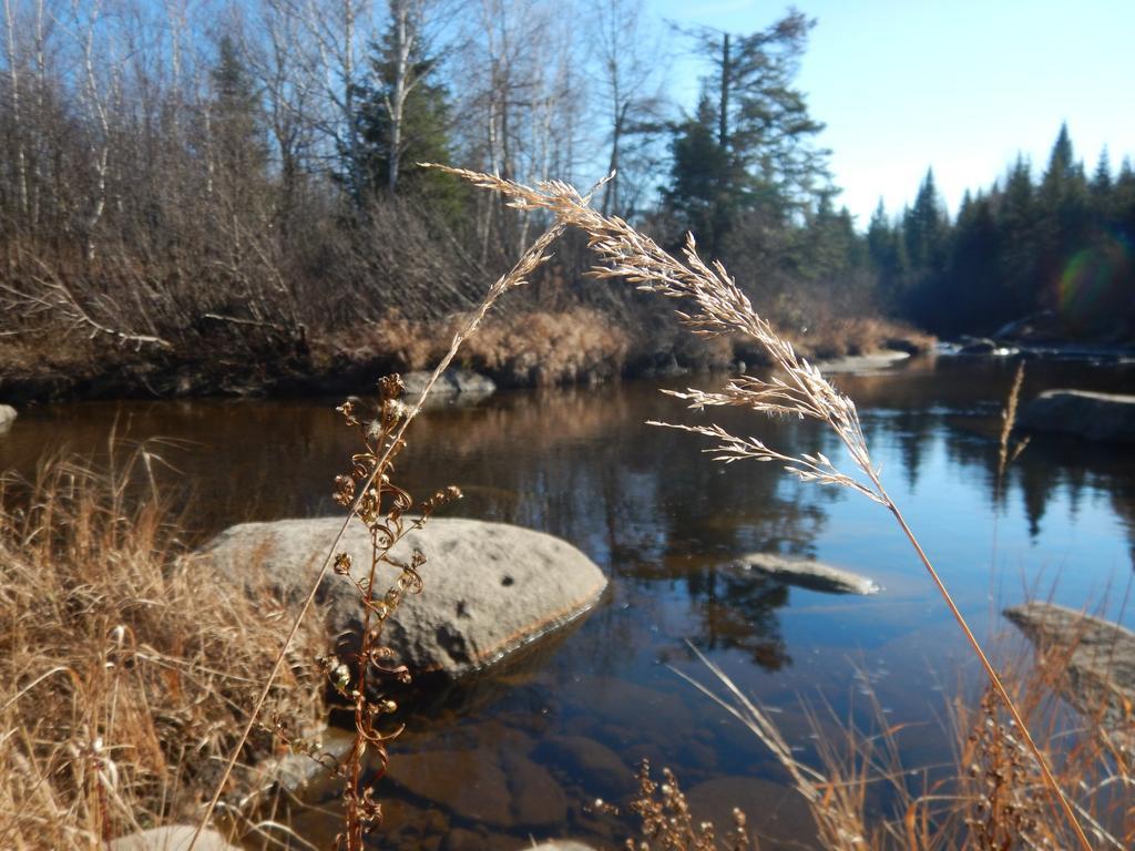 Вілла Aux Tipis De La Riviere Sauvage Saint Romain Екстер'єр фото