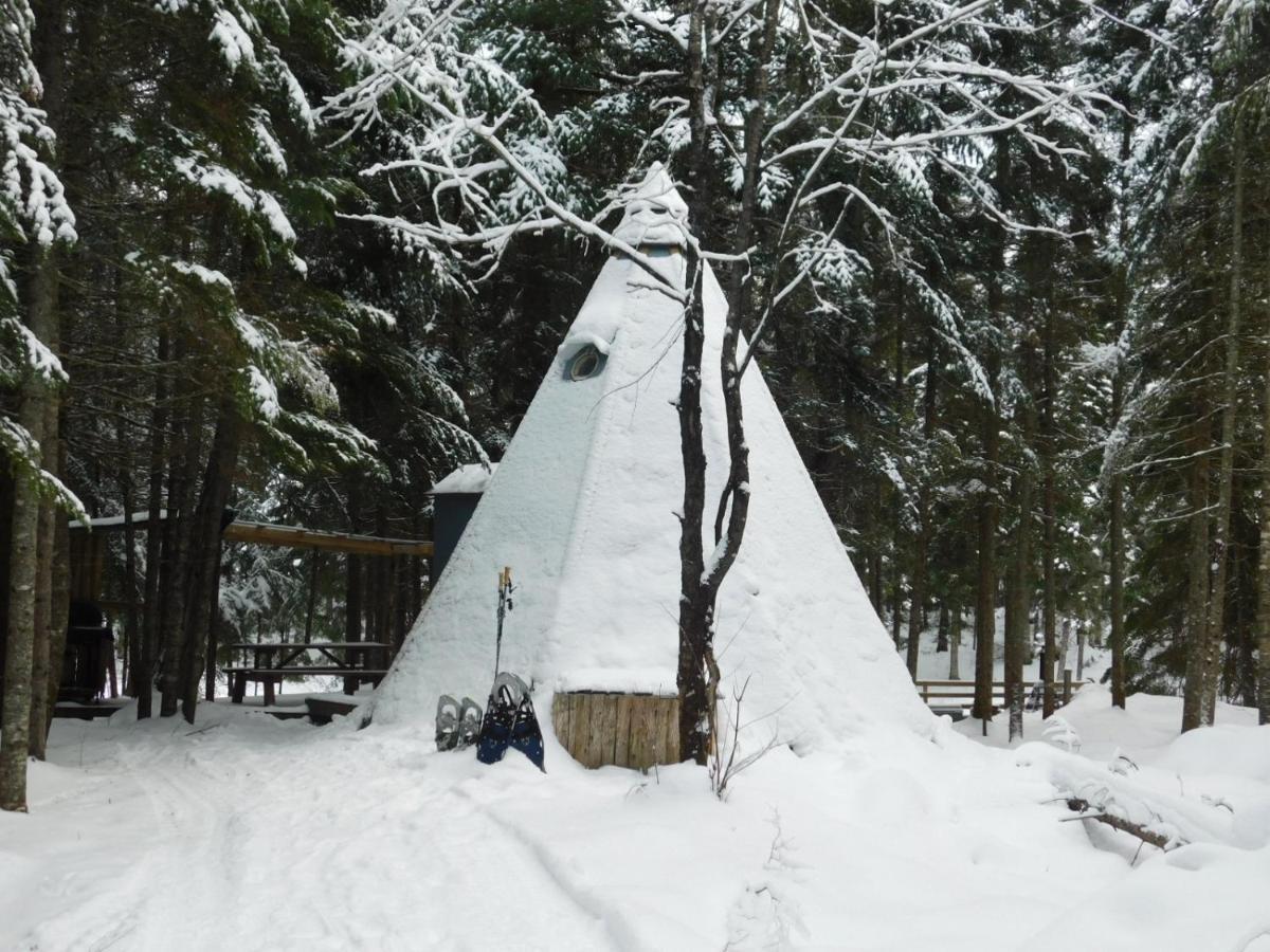 Вілла Aux Tipis De La Riviere Sauvage Saint Romain Екстер'єр фото